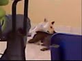Desvergue civil-Yakety sax Desvergue civil-Yakety sax