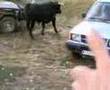 Foto v�deo