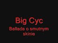 Big Cyc ballada o smutnym skinie