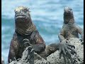 Galápagos_Ciencia&Aventura Galápagos_Ciencia&Aventura