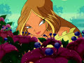 Winx Club openig serii pierwszej PL