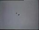 Videoclip (1995-08) gijon skate