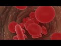 Stem Cells