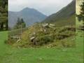 Walking in Glen Shiel May 07