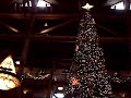 DVC Wilderness Lodge Christmas lobby tour 2007 DVC Wilderness Lodge Christmas lobby tour 2007