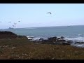 Morro Bay- Big Sur