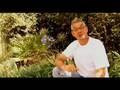 videos de Multiplication- In the Garden