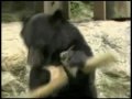 Pogledaj video