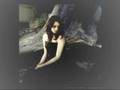 my lagan love de the corrs