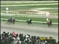 かしわ記念動画18