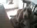 mi amora shak como te extra�oooo
holalabolaaaaaaaaaaaaa