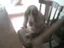 mi amora shak como te extra�oooo
holalabolaaaaaaaaaaaaa