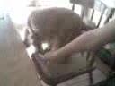 mi amora shak como te extra�oooo
holalabolaaaaaaaaaaaaa
