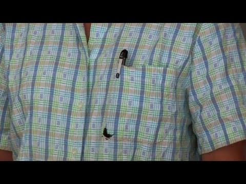 video-linktoworks-How To Remove Ink Stains From Clothes