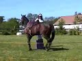Mounting and dismounting Pete! Mounting and dismounting Pete!