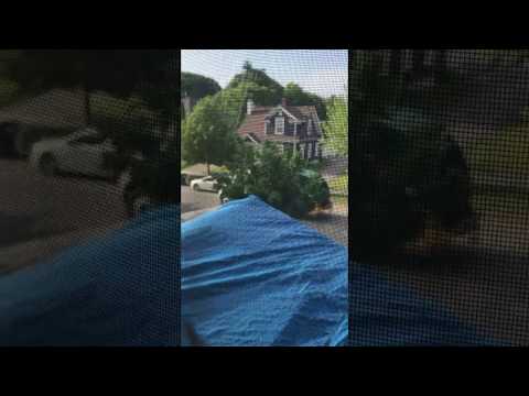Waste Management - Video of driver angrily tossing garbage cans across street