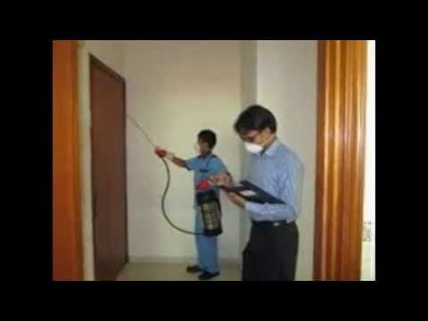 مكافحة صراصير المطبخ 0566884259 مكافحة صراصير المطبخ