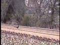 Classic Locomotive No. 1218 Departing Huntsville