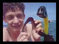 donnie macgowan inflates his google vitae with a video