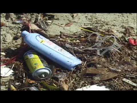 Plastics and Marine Debris