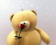 Bom dia a todos um poquinho de amor (amigos e amigas )