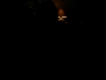 My singing friend - very dark My singing friend - very dark