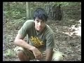 grey-wolf-hunting.html