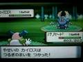 ポケトレ　色違いカイロス