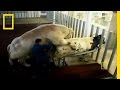 Super Cow Creators