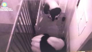 Smithsonian National Zoo