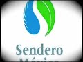 Sendero México Playa Zip Line