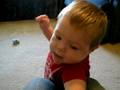 videos de Hi Willow.avi