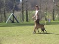 Prüfung Urexweiler Kess - Thumb #2