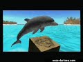 the-dolphins-adventure-a-timeless-classic.html