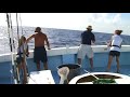 Fishing Destin Florida on Miss Hazel Charter Boat