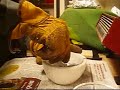 How to make a fountain