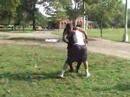 How NOT to deliver a suplex variant