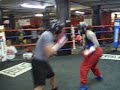 Gleasons sparring 2