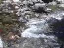 Downieville Attack
