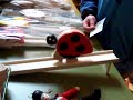 Ridiculous Ladybug Ridiculous Ladybug