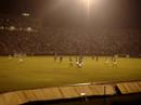 Mancha - Palmeiras