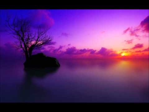 Meyerson - Sedi & Meyerson - Shellshock ( Original Mix ) Progressive Dream House For promotional uses only Subscribe for more ! Enjoy !
