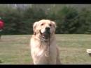 Sampson SitMeansSit RI Seminar