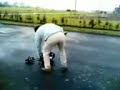 fatblokes electric golf trolley