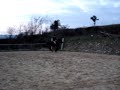 Our 1st jump!! Our 1st jump!!