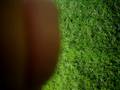 videos de our web show green dot 8