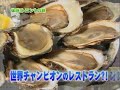 ??????????????\"Asobi ni Ikou\" Toronto Part 1 ??????????????\"Asobi ni Ikou\" Toronto Part 1
