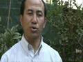 Persecution in Burma