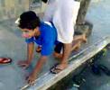 Os Loucos Das Ruaaas #) [SE]