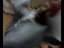 el pinwi  bailando